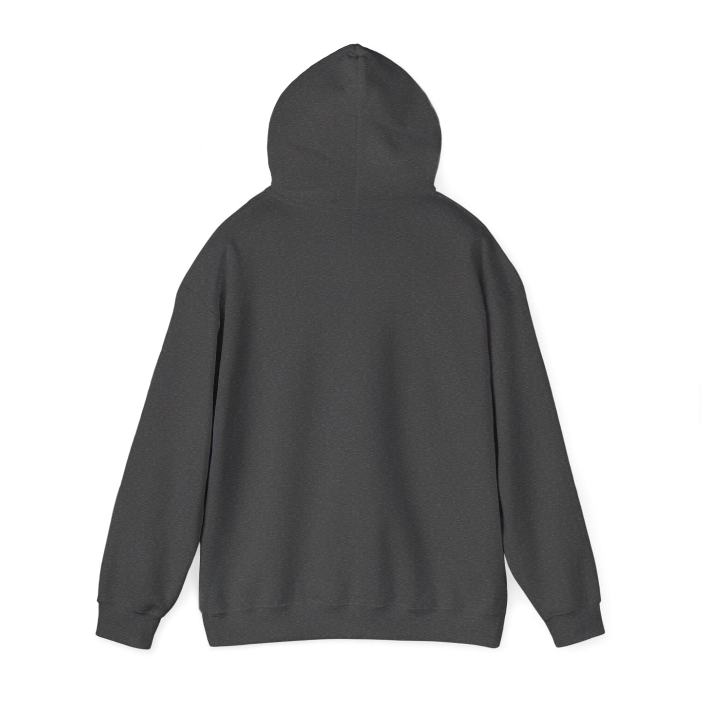 Hoodie Coton Ouaté - CARAVAN